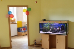 Ein Aquarium auf einem Sideboard aus Holz neben einem mit bunten Balons geschmückten Türrahmen in einem hellen Raum mit gelben Wänden.